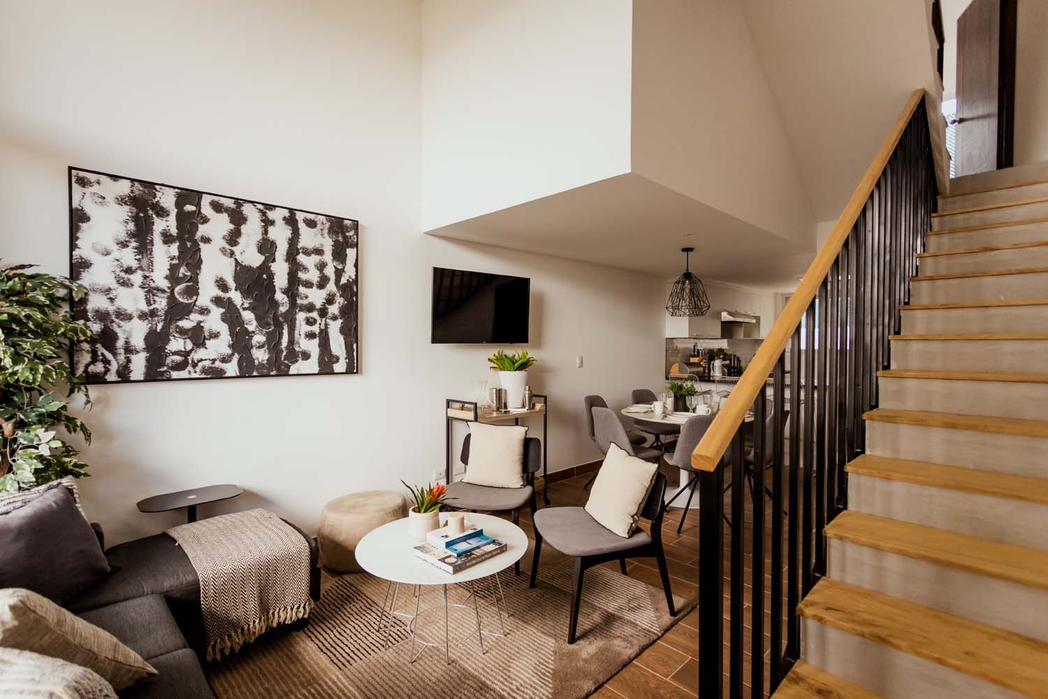 Apartamento Modelo Sala Roque1