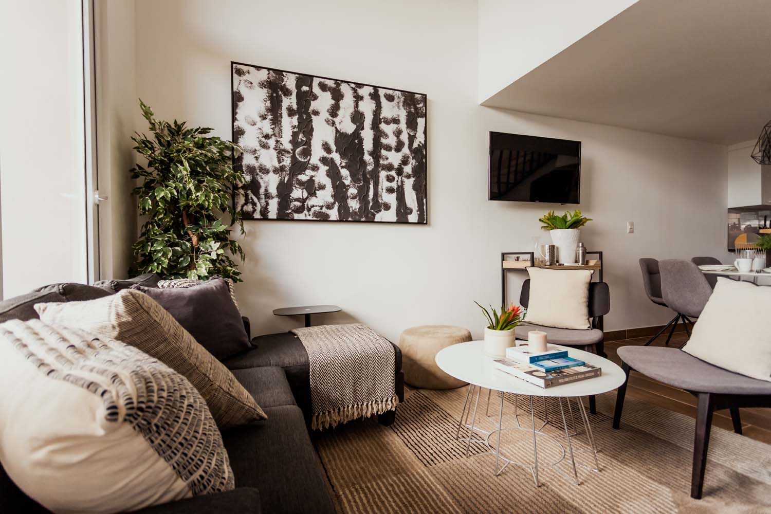 Apartamento Modelo Sala Roque2